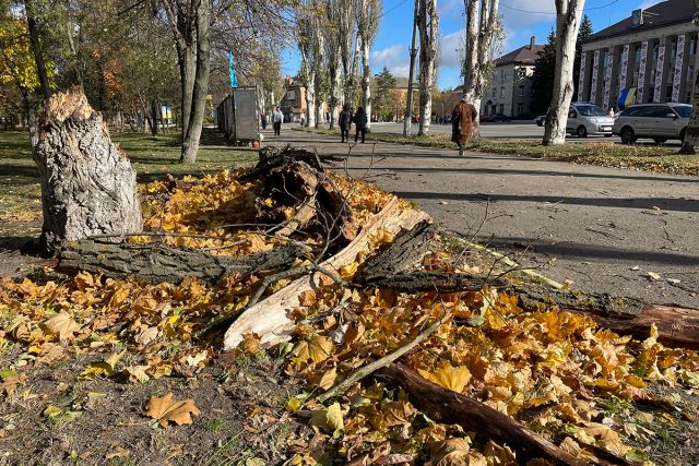 Шквальний вітер у Світловодську: велика гілка впала на авто адвокатки