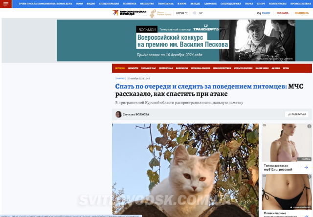 "наварити залізні конструкції над ліжками інвалідів" - мнс рф випустило пам’ятку для жителів курської області.