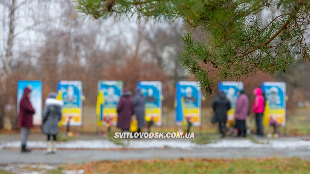 У Великій Андрусівці відкрили алею пам’яті героям