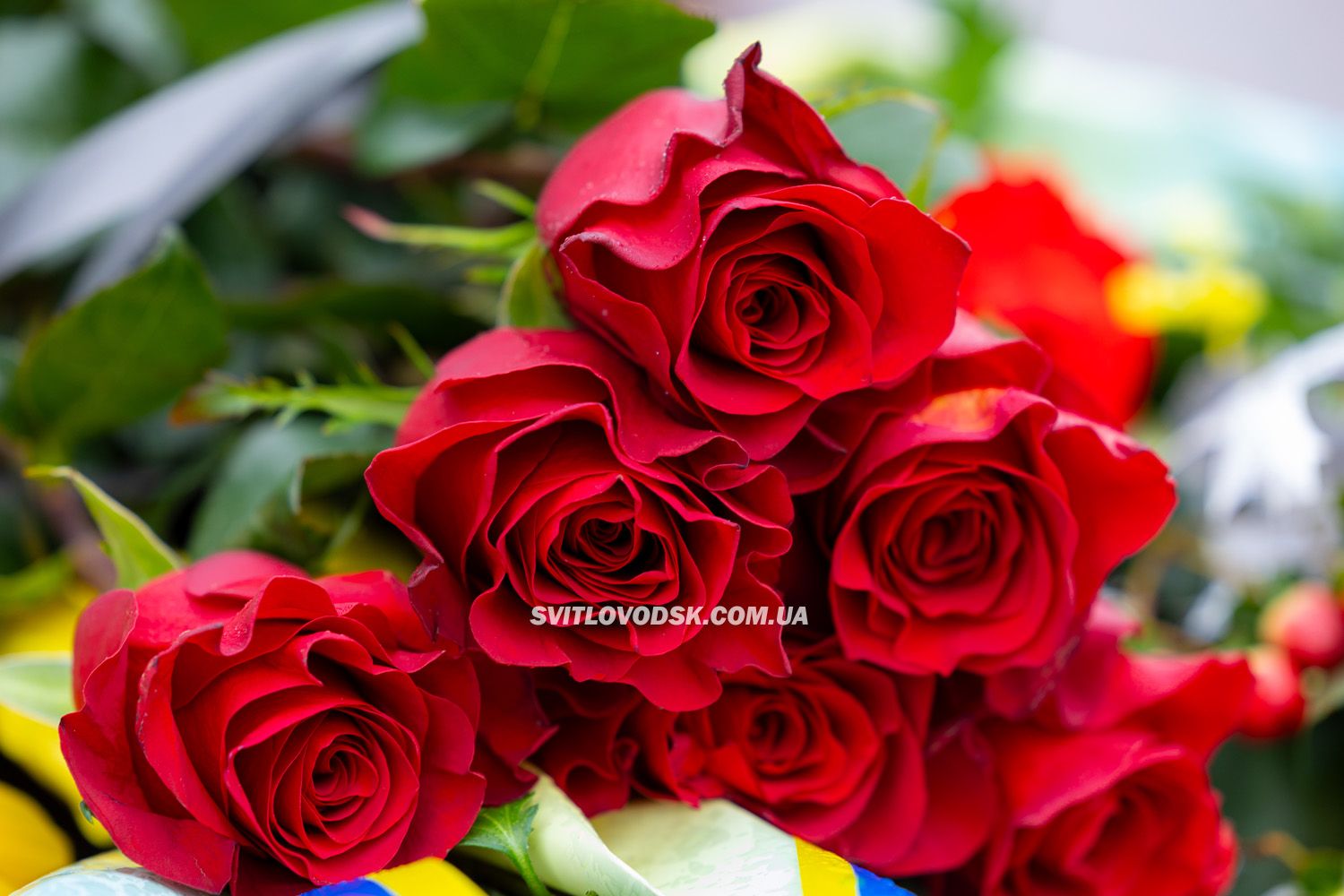 Світловодськ вшанував пам'ять Героїв у День Гідності та Свободи