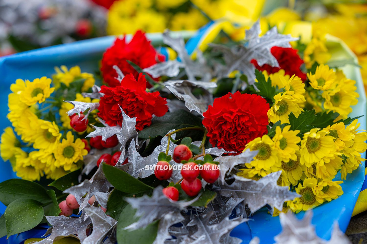 Світловодськ вшанував пам'ять Героїв у День Гідності та Свободи