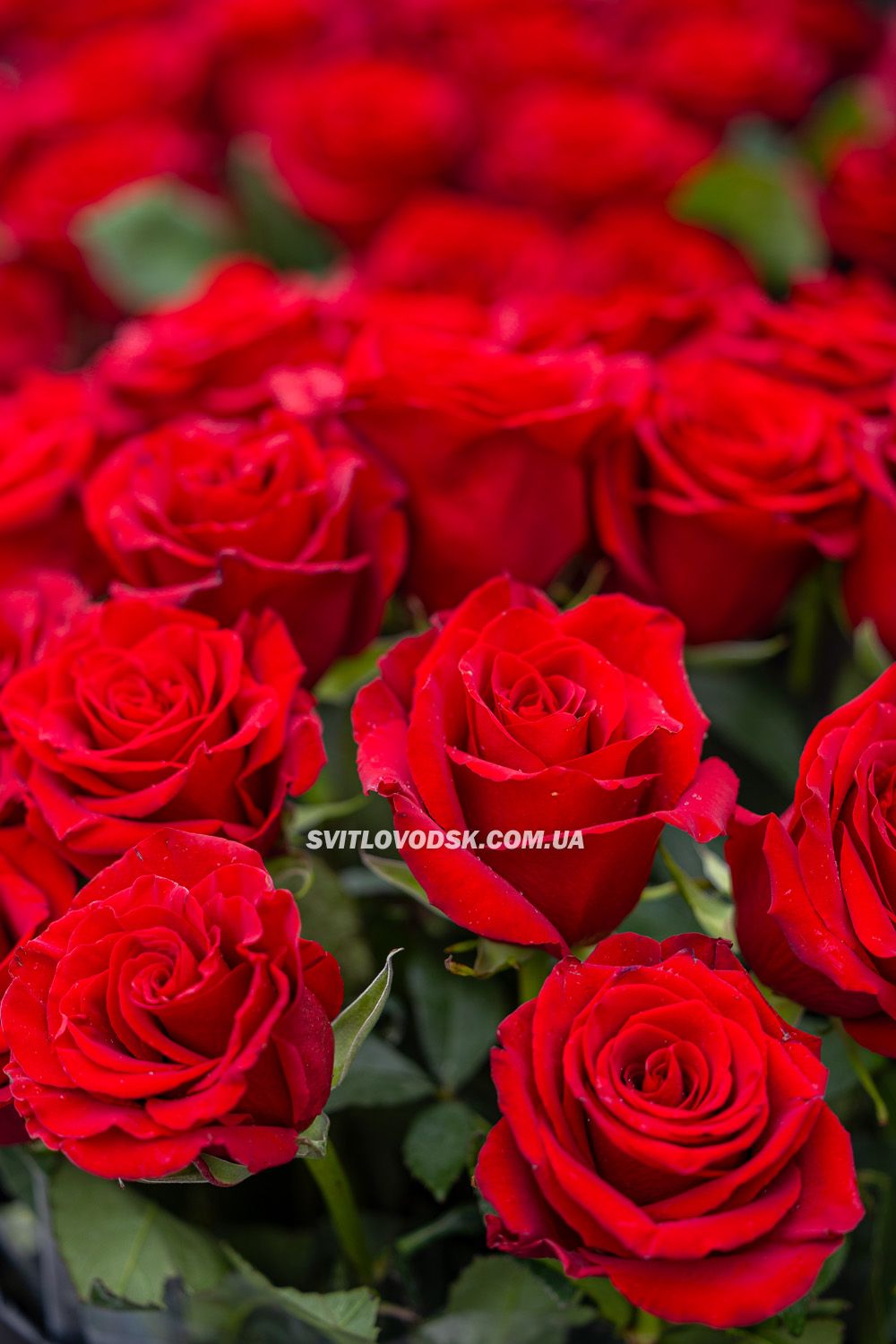 Світловодськ попрощався із загиблим захисником України Русланом Сорокою