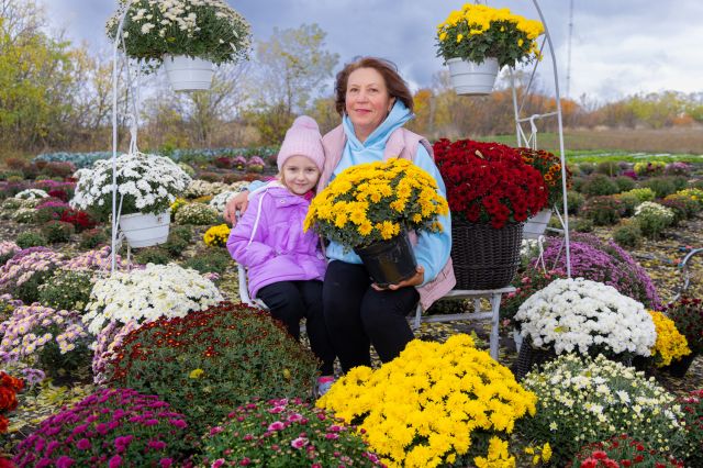 Там, де росте надія: історія квітів, полуниці й спокою в серці Іванівки Там, де росте надія: історія квітів, полуниці й спокою в серці Іванівки