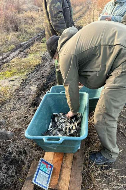 У Світловодську провели зариблення Кременчуцького водосховища