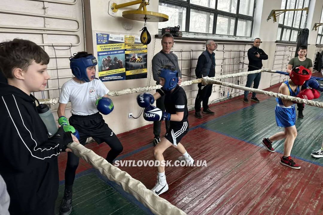 Світловодські боксери взяли участь у навчальних спарингах в Олександрії