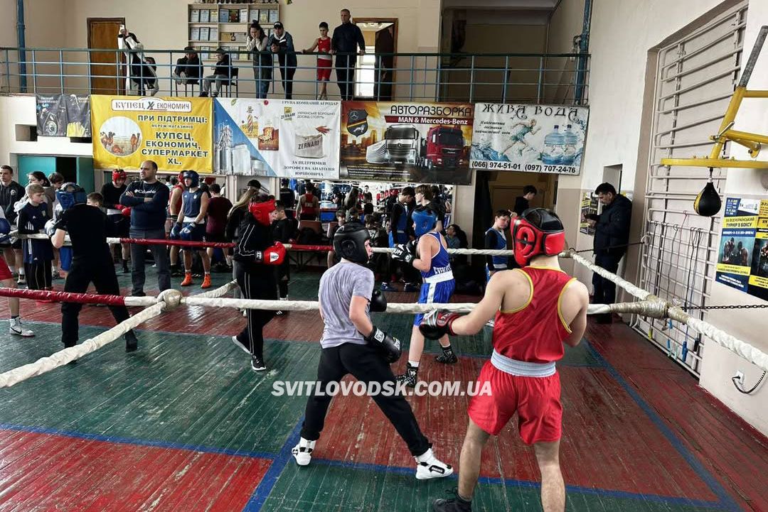 Світловодські боксери взяли участь у навчальних спарингах в Олександрії