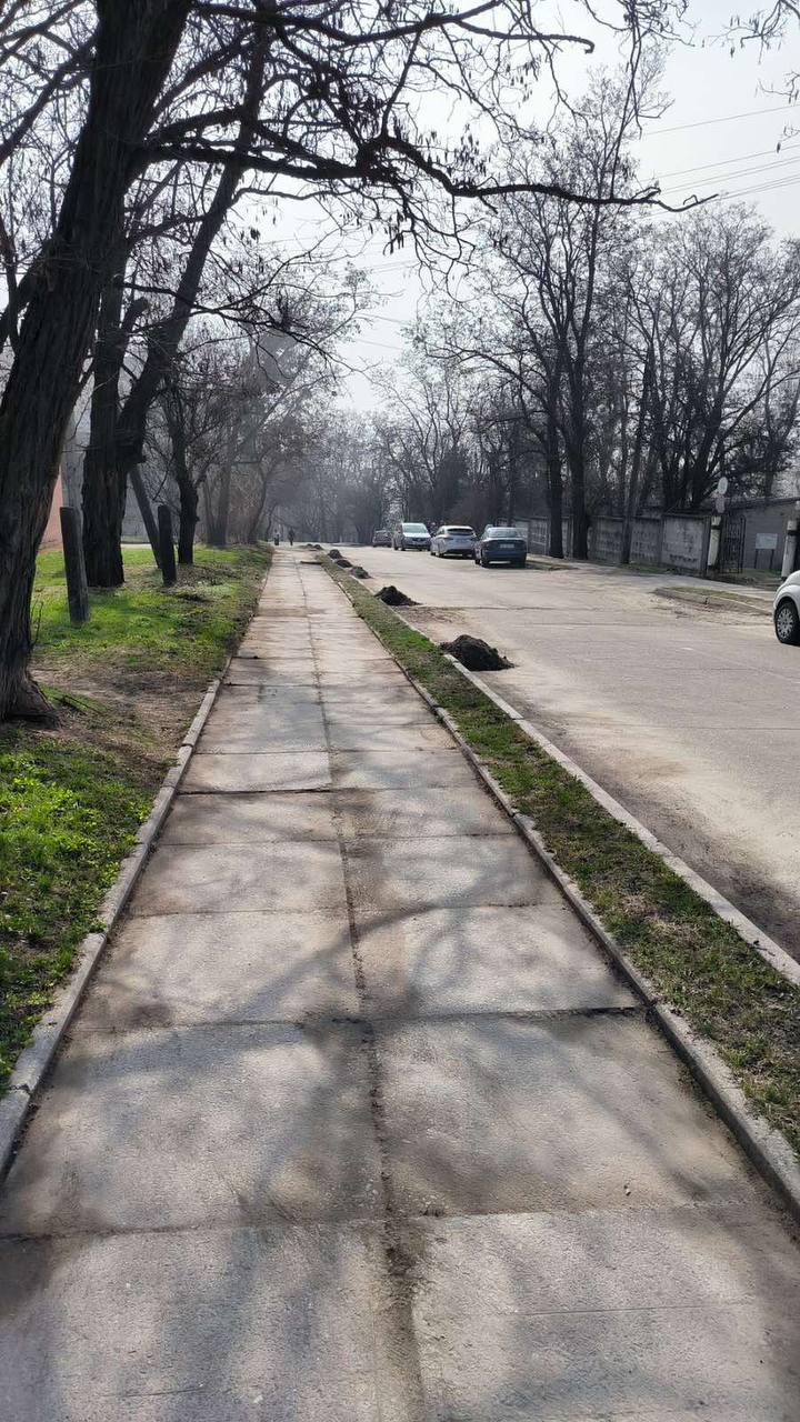 У Світловодську триває весняна толока