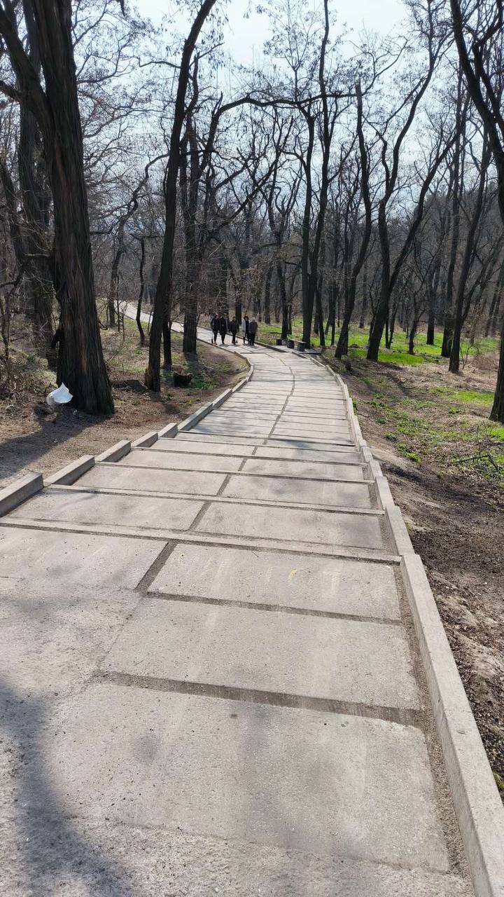 У Світловодську триває весняна толока