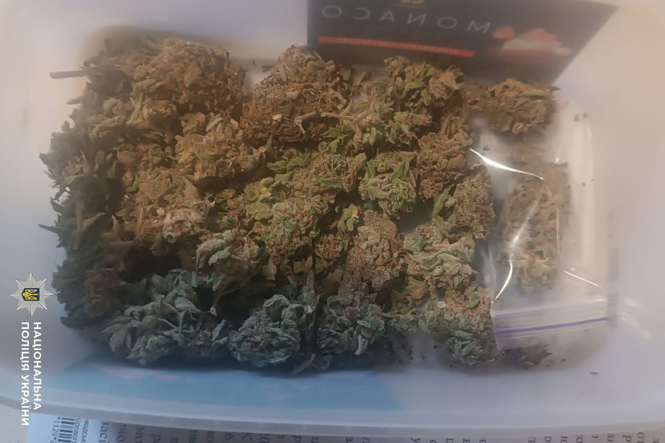 У Світловодську затримали чоловіка за вирощування та збут наркотиків У Світловодську затримали чоловіка за вирощування та збут наркотиків