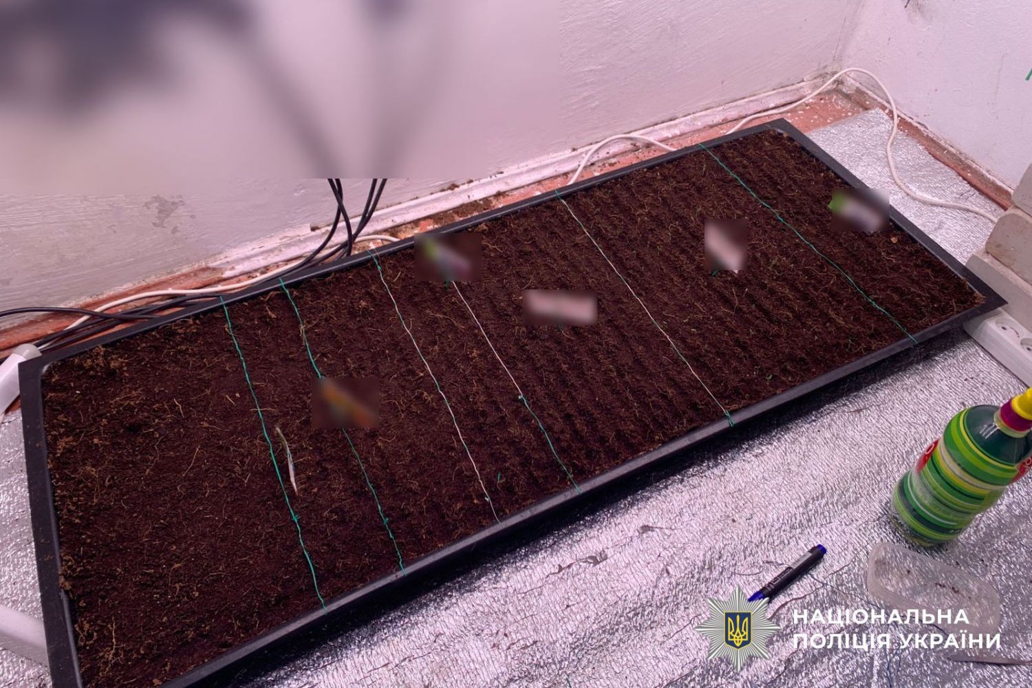 У Світловодську затримали чоловіка за вирощування та збут наркотиків