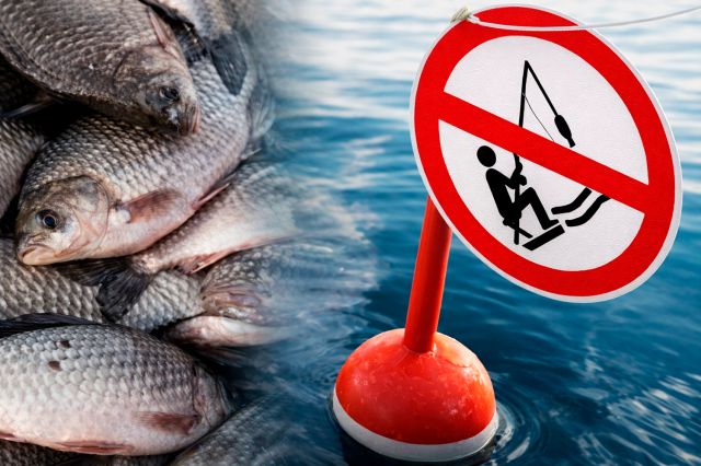 На водоймах Кіровоградщини розпочалася нерестова заборона