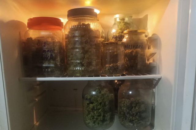 У Світловодську затримали чоловіка за вирощування та збут наркотиків У Світловодську затримали чоловіка за вирощування та збут наркотиків