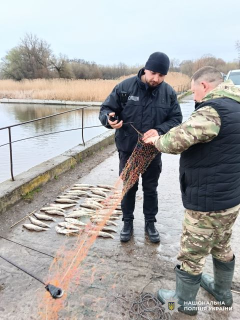 У Світловодську браконьєр завдав державі збитків на 130 тисяч гривень
