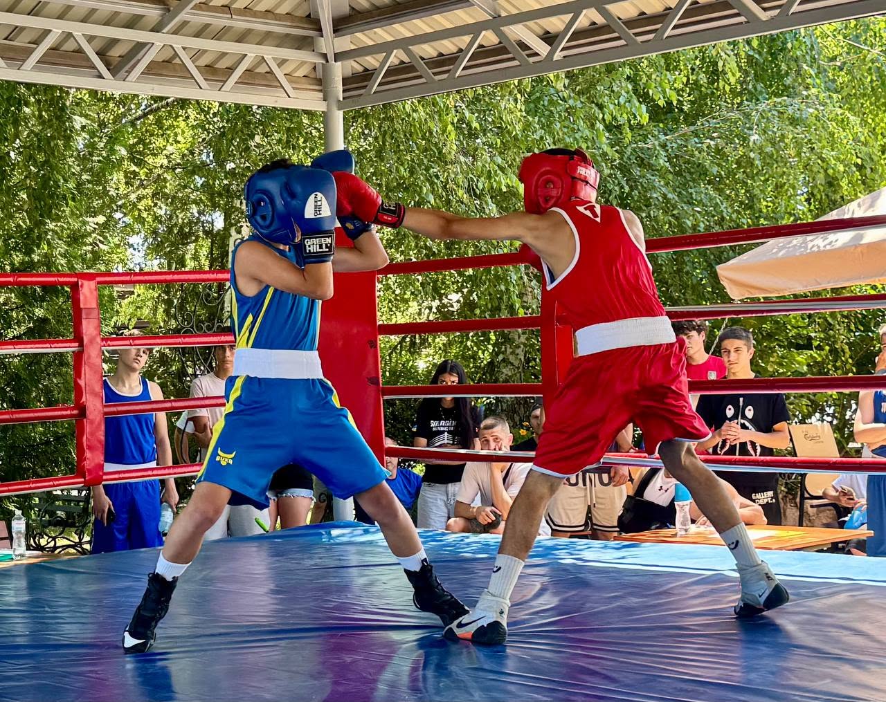 У Світловодську розпочався чемпіонат Кіровоградської області з боксу У Світловодську розпочався чемпіонат Кіровоградської області з боксу