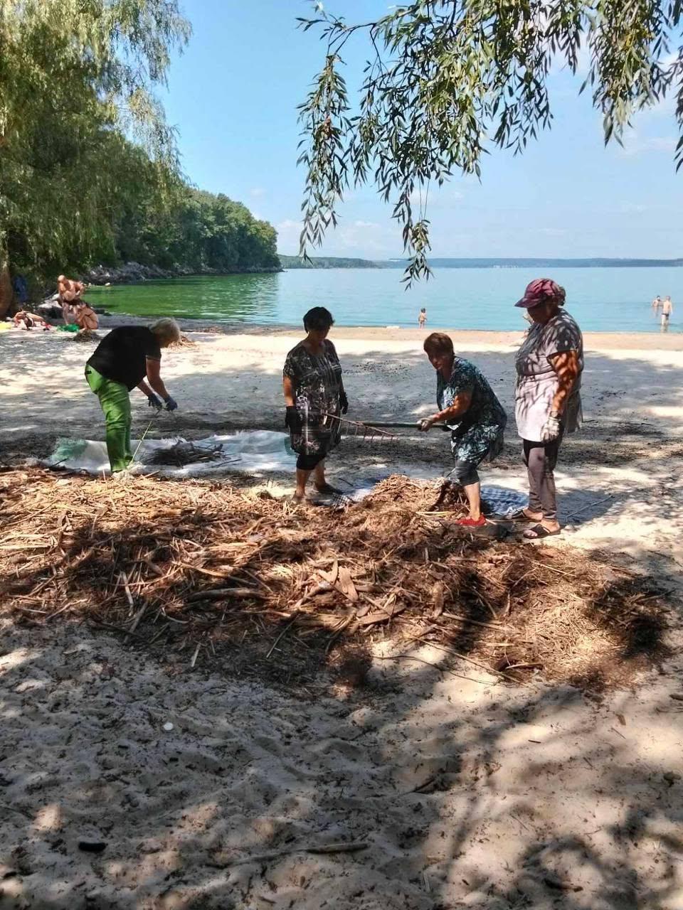 У Світловодську прибрали пляж і відремонтували лавки У Світловодську прибрали пляж і відремонтували лавки
