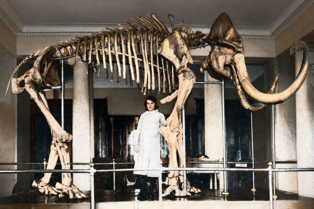 Табурищанський мамут: відкриття, яке змінило світову палеонтологію