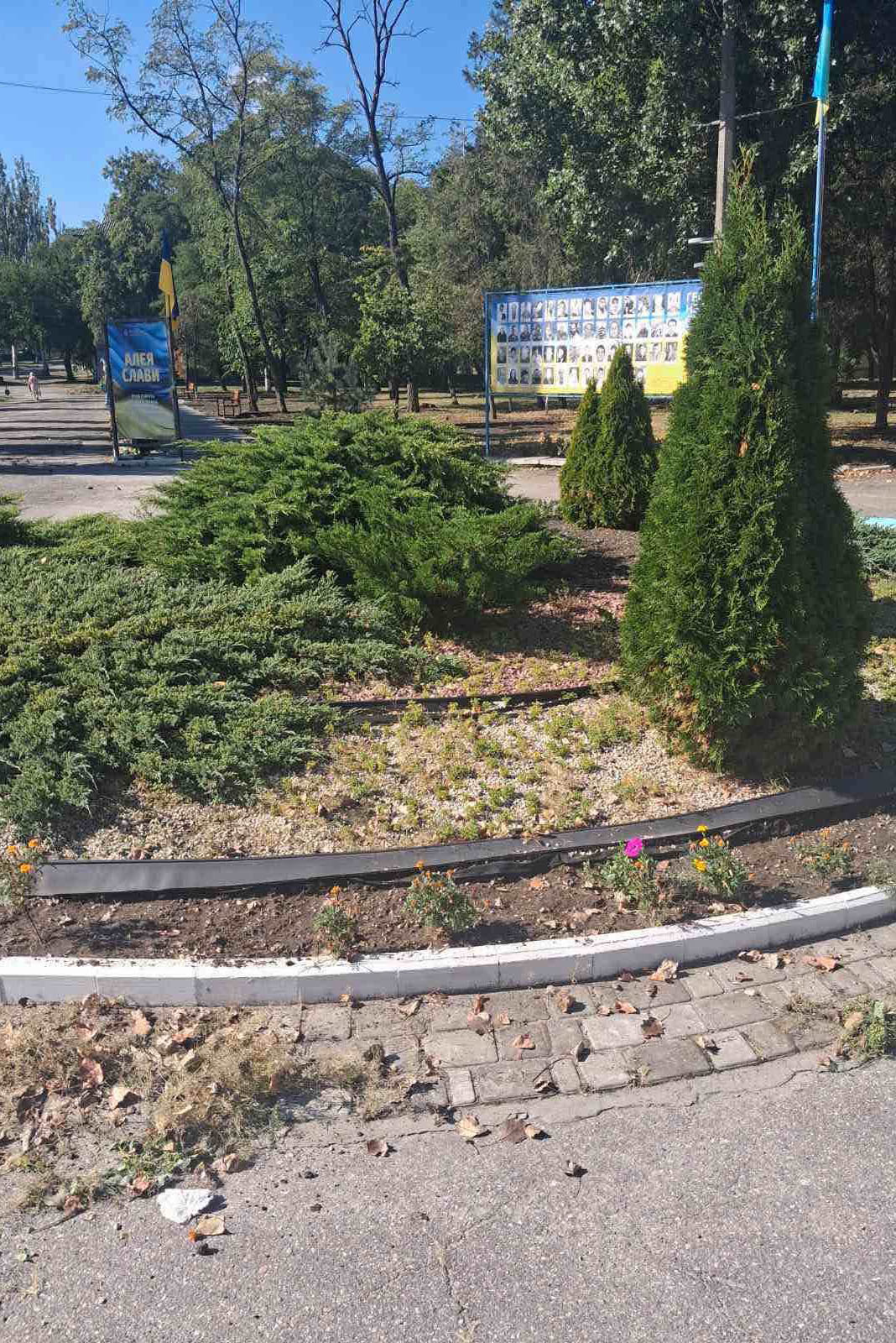 У Світловодську тривають роботи з благоустрою: до прибирання залучили спеціалізоване підприємство