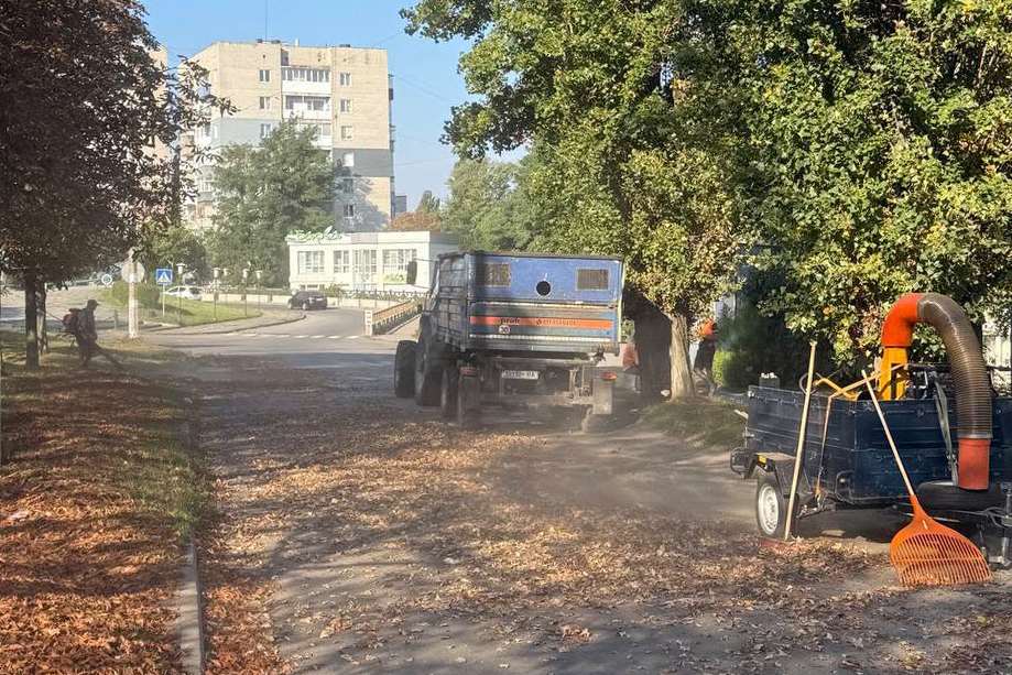У Світловодську тривають роботи з благоустрою: до прибирання залучили спеціалізоване підприємство