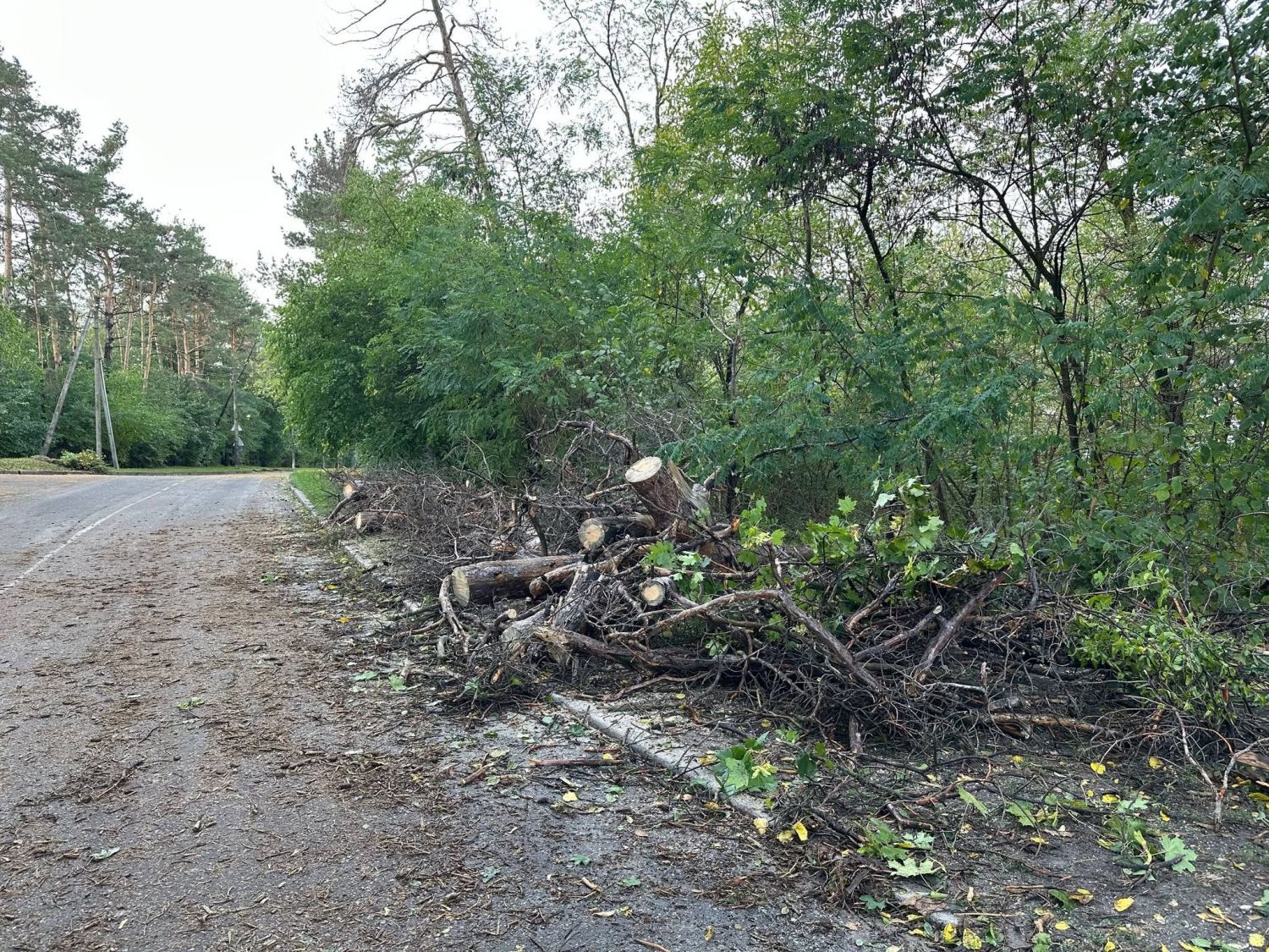 У Світловодській громаді ліквідовують наслідки нічного буревію У Світловодській громаді ліквідовують наслідки нічного буревію