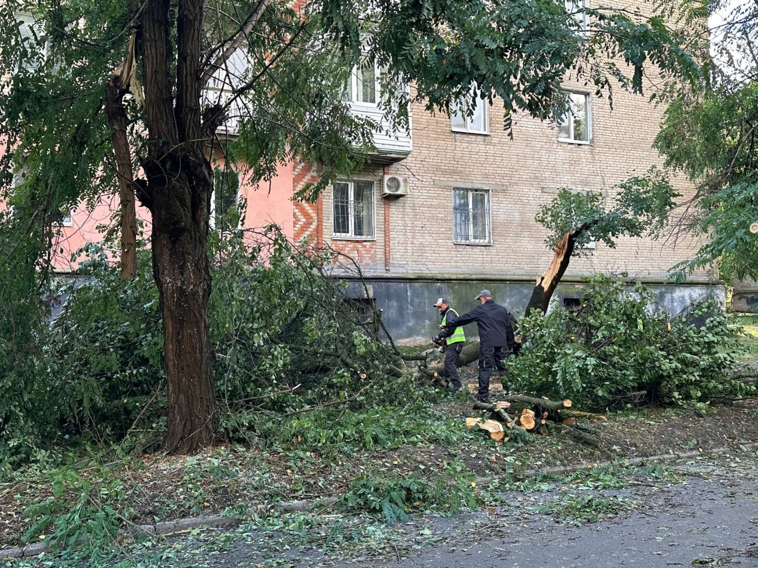 У Світловодській громаді ліквідовують наслідки нічного буревію У Світловодській громаді ліквідовують наслідки нічного буревію
