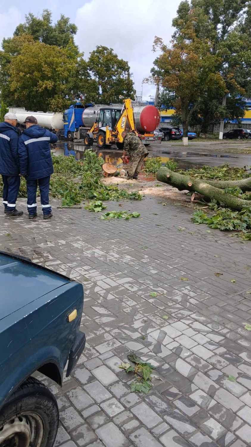У Світловодській громаді ліквідовують наслідки нічного буревію У Світловодській громаді ліквідовують наслідки нічного буревію