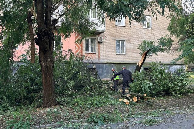 У Світловодській громаді ліквідовують наслідки нічного буревію У Світловодській громаді ліквідовують наслідки нічного буревію
